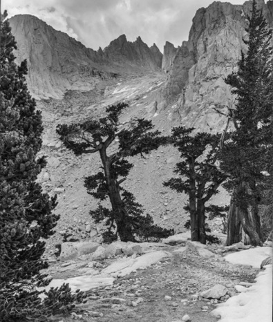 Below Mt. Whitney, Sierras
20151107-NegScan 46.jpg Below Mt. Whitney, Sierras
20151107-NegScan 46.jpg